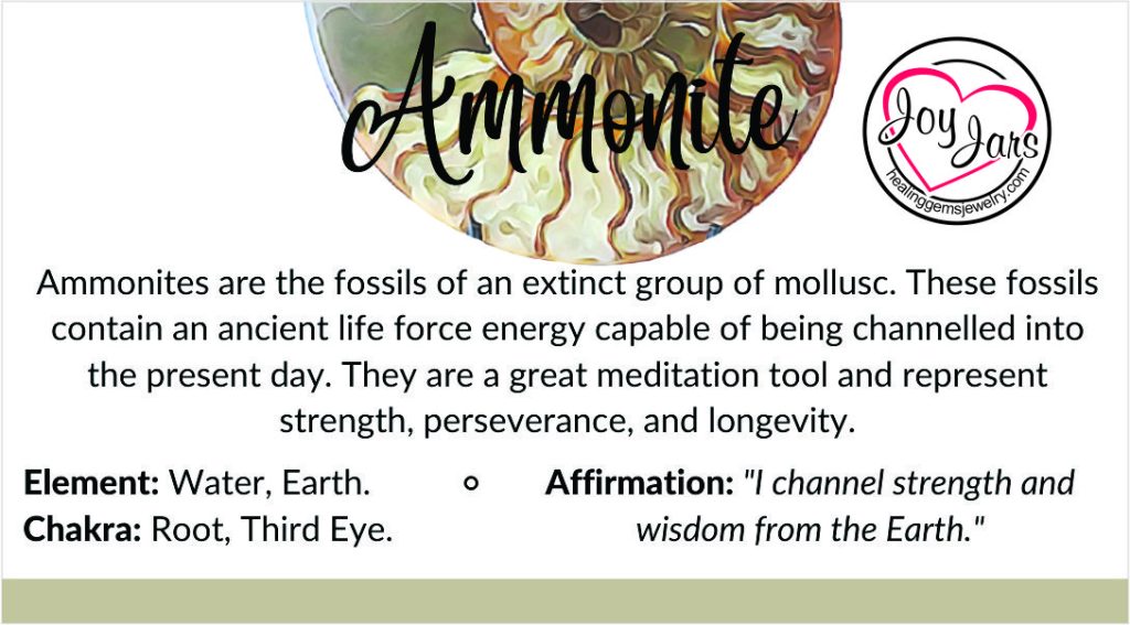 ammonite